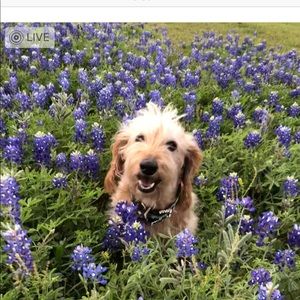 Meet your Posher, Verna